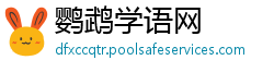 鹦鹉学语网